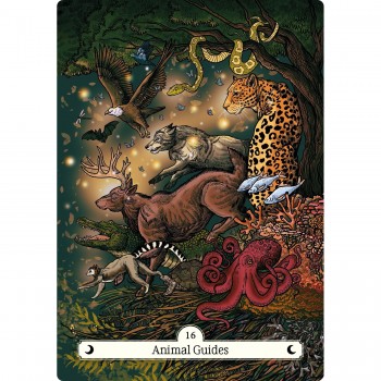 The Witch's Way Home Oracle kortos Hay House